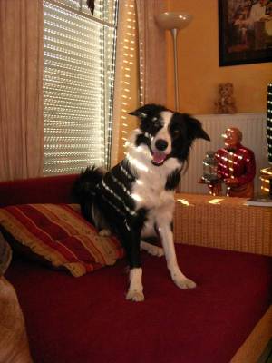 zum sortieren 06-082007 005.jpg